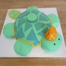 Birthday-94 -turtle