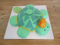 Birthday-94 -turtle