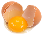 egg